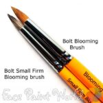 Comparing Bolt Blooming brushes